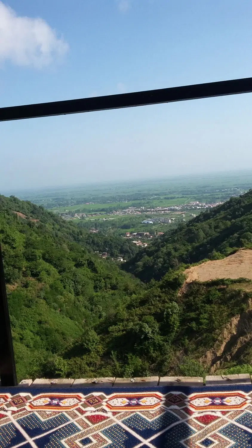 باغ چایی