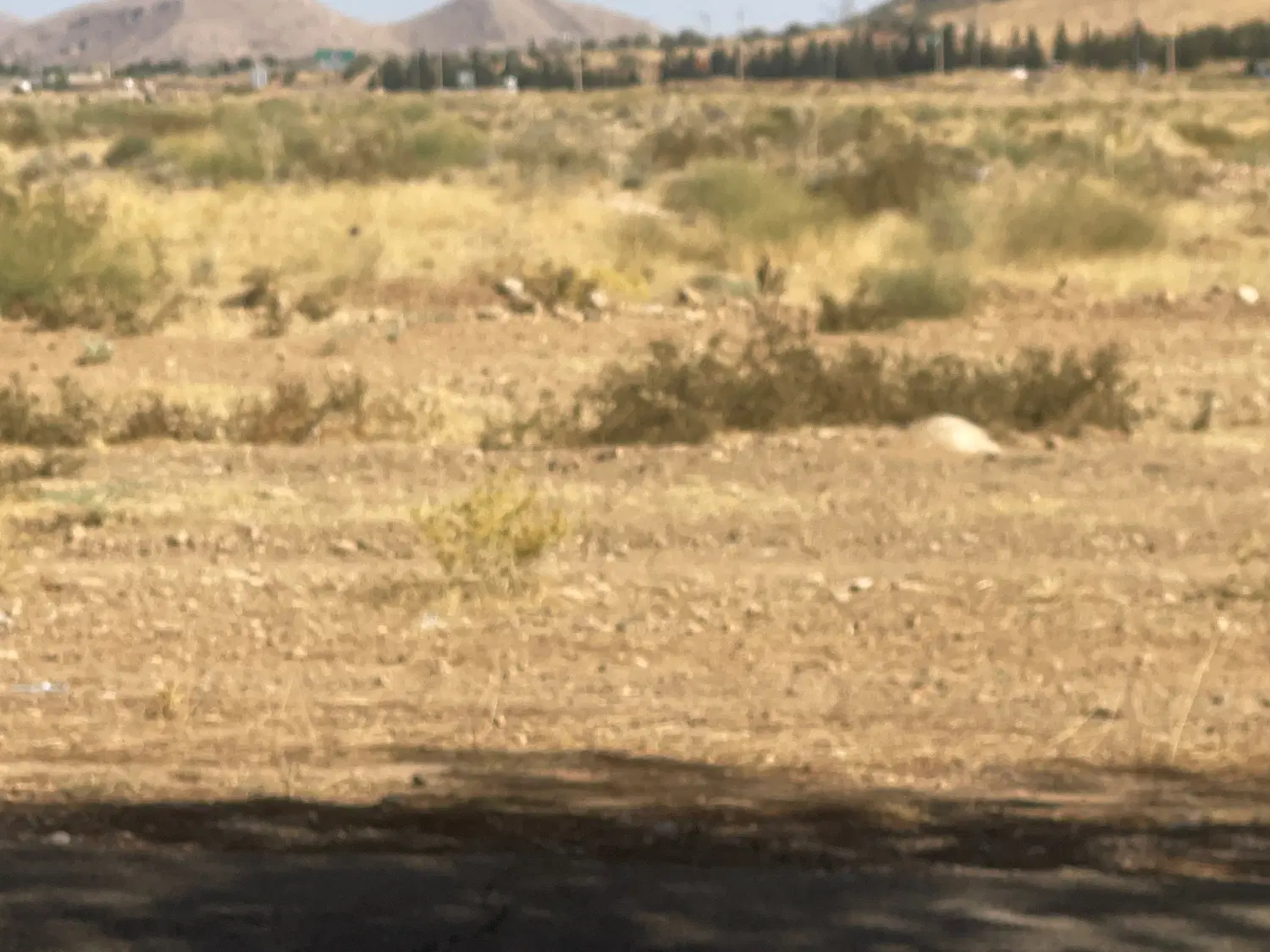 فروش یا  معاوضه  زمین جبل دراک