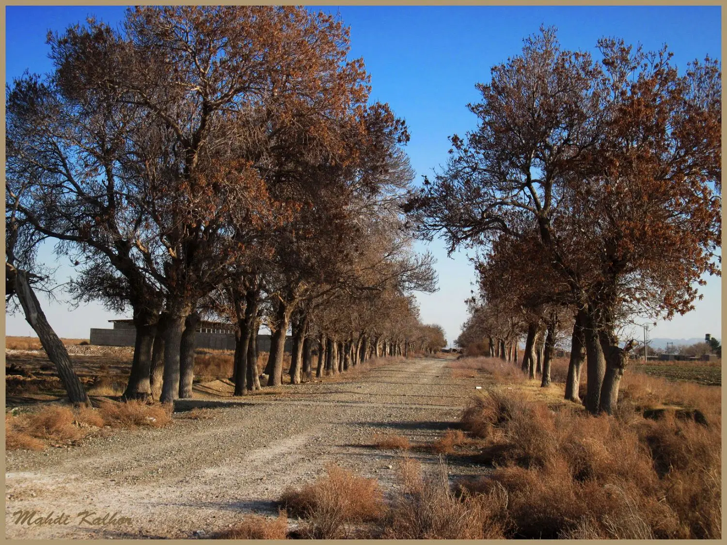 زمین کشاورزی همراه آب موتور