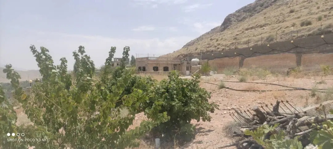 باغ شهری دریمه