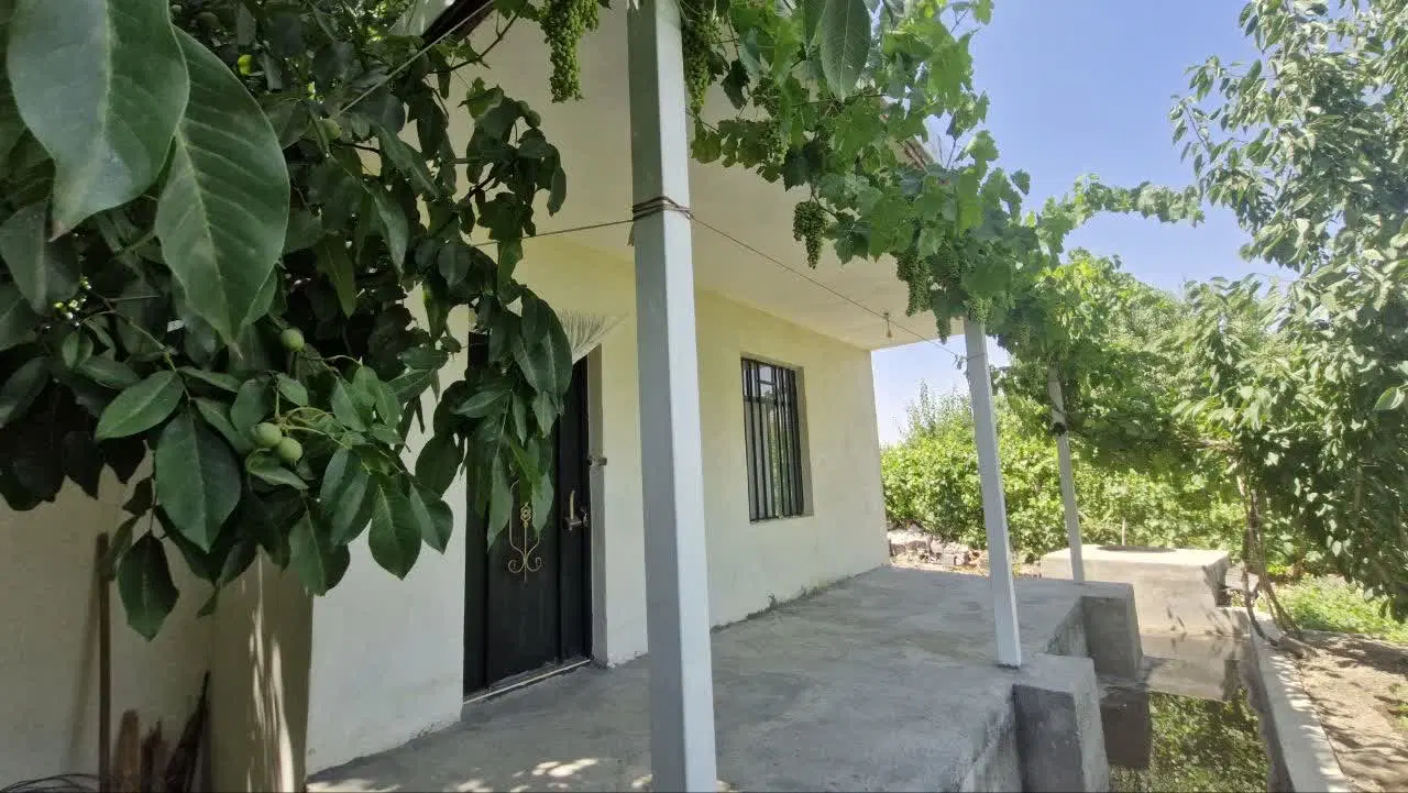 باغ کشاورزی در طلاتپه