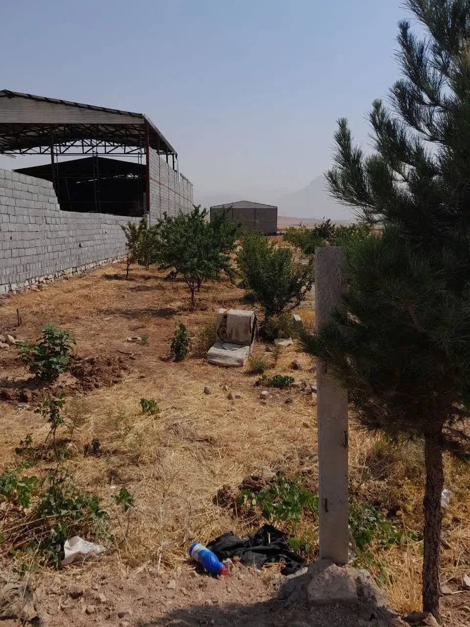 زمین کشاورزی با سند تک برگ