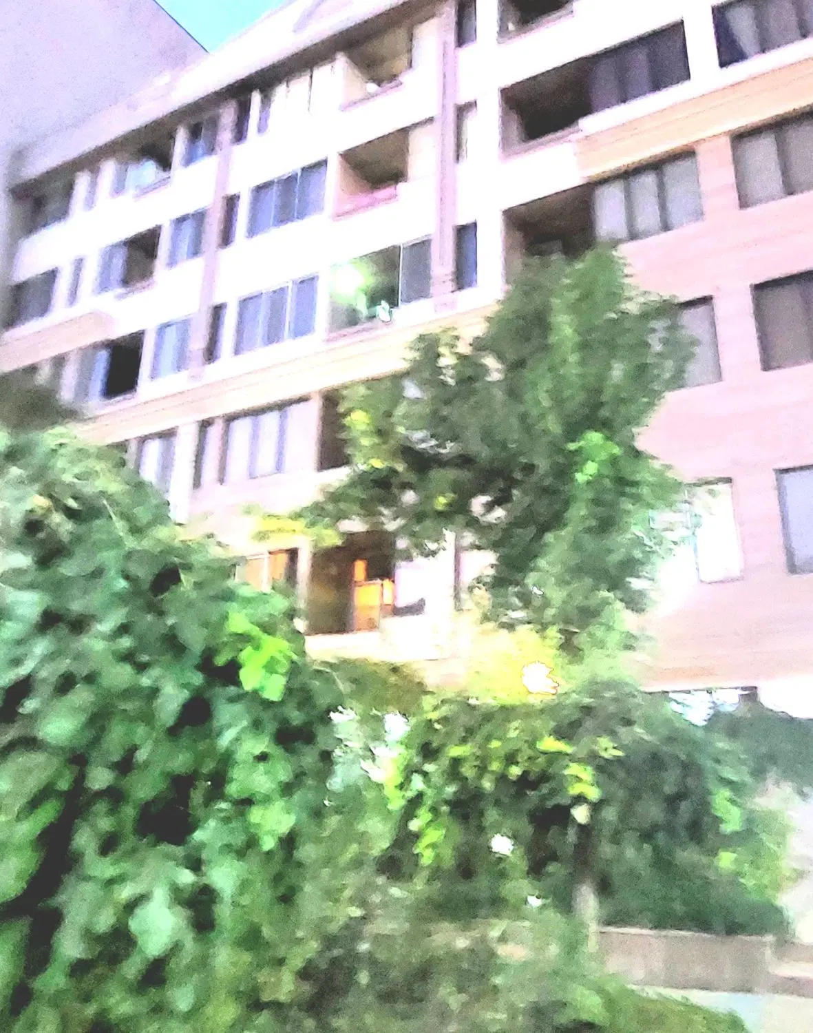 پونک عدل 103 متر