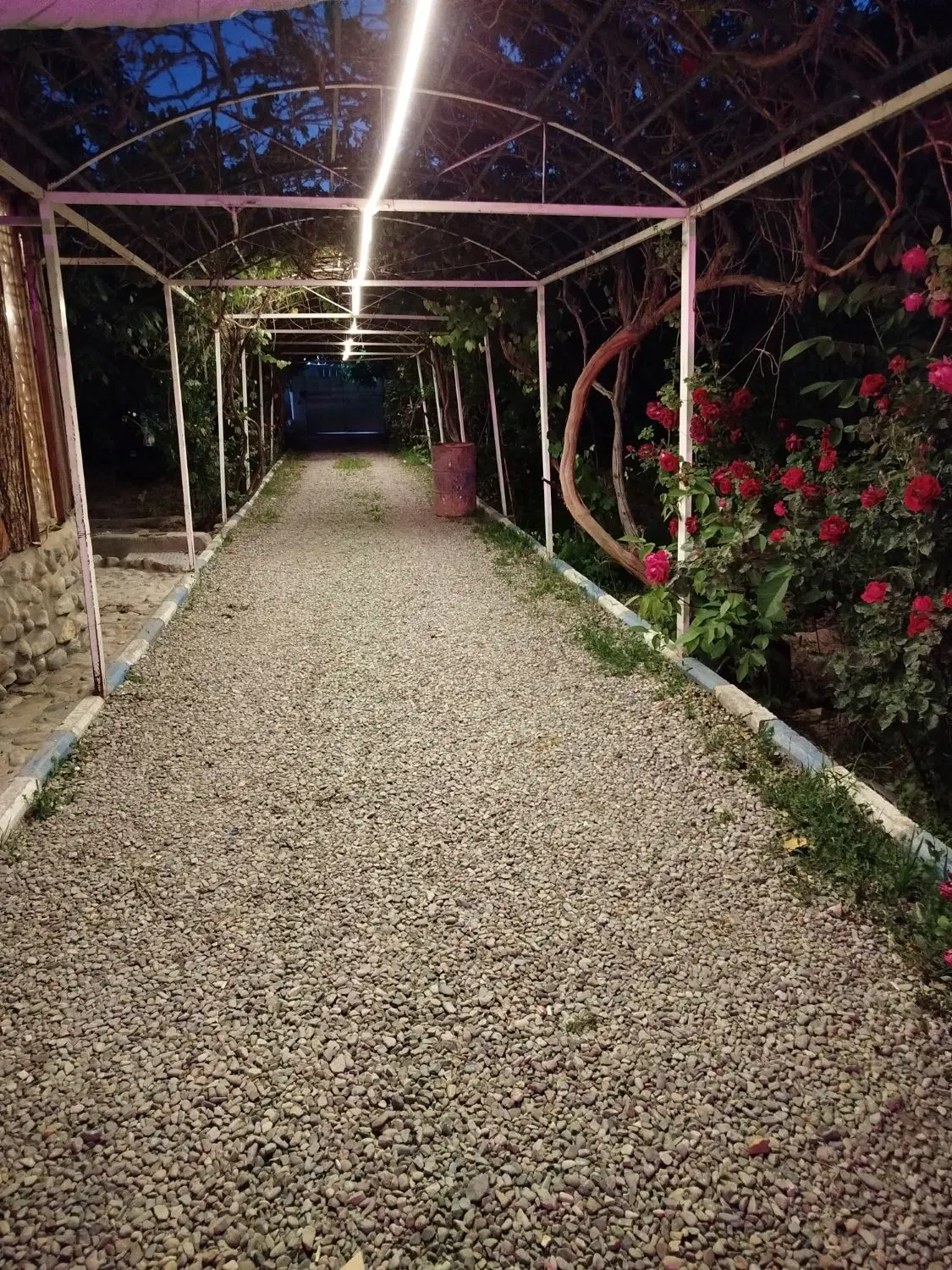 اجاره باغ ویلا