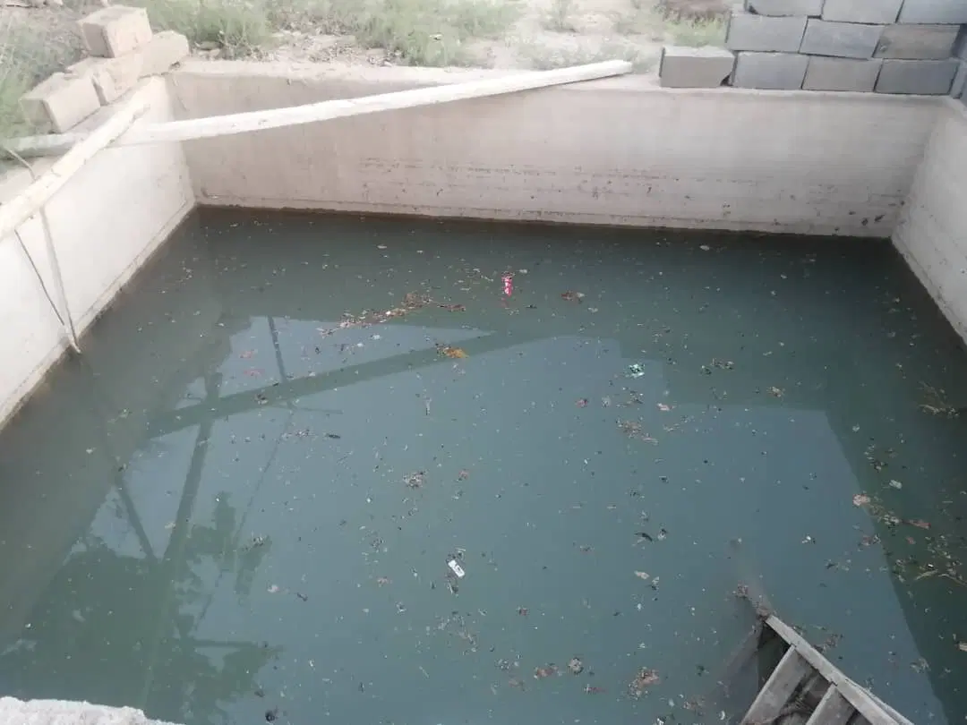 گاوداری دامداری ۱۷۳۰ متری پیشوا