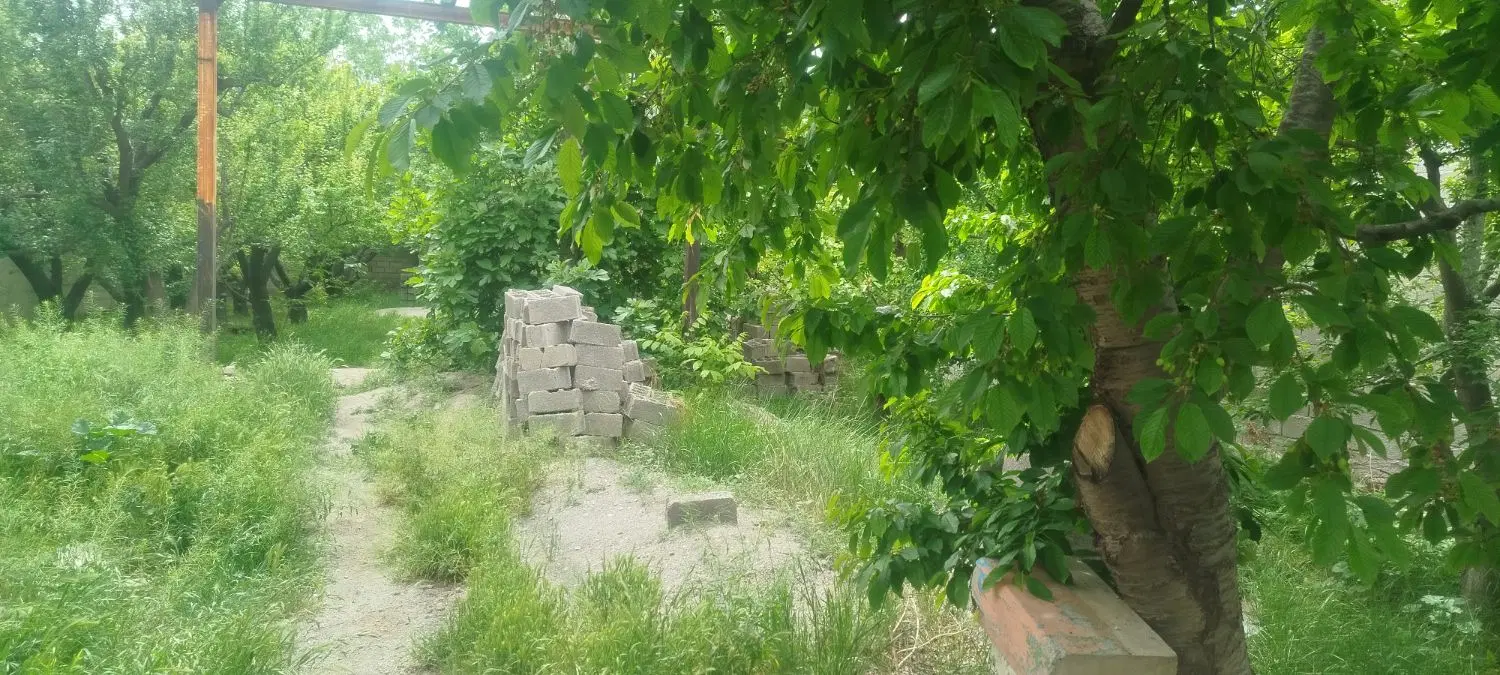 باغ باغچه ویلا سند دار
