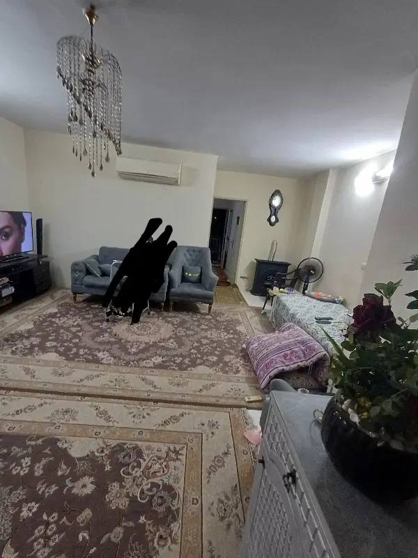 واحد ۶۶ متری روبنما شهرک پیام