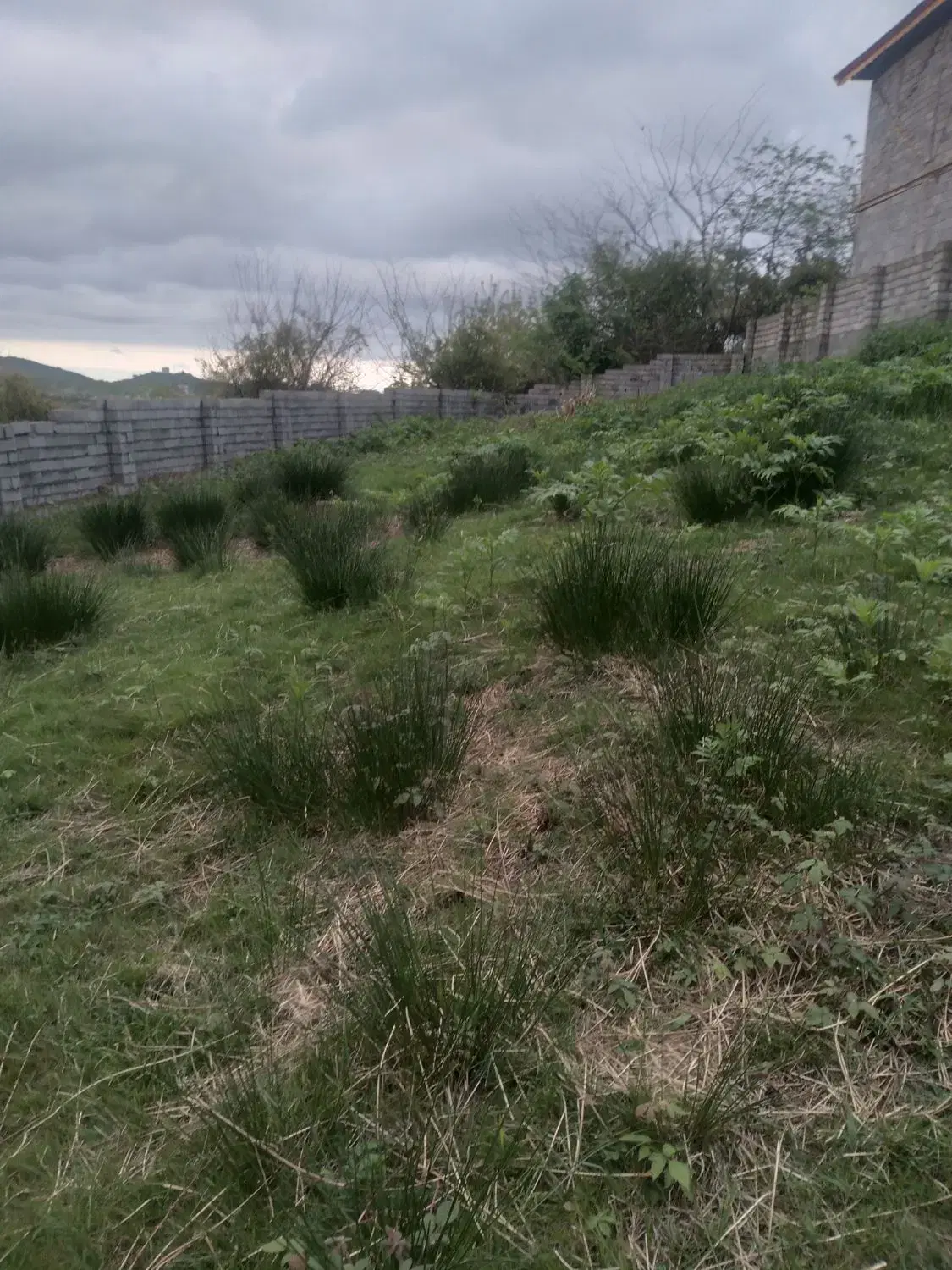 زمین ۵۶۰ متری ۹۰ متر پروانه ساخت