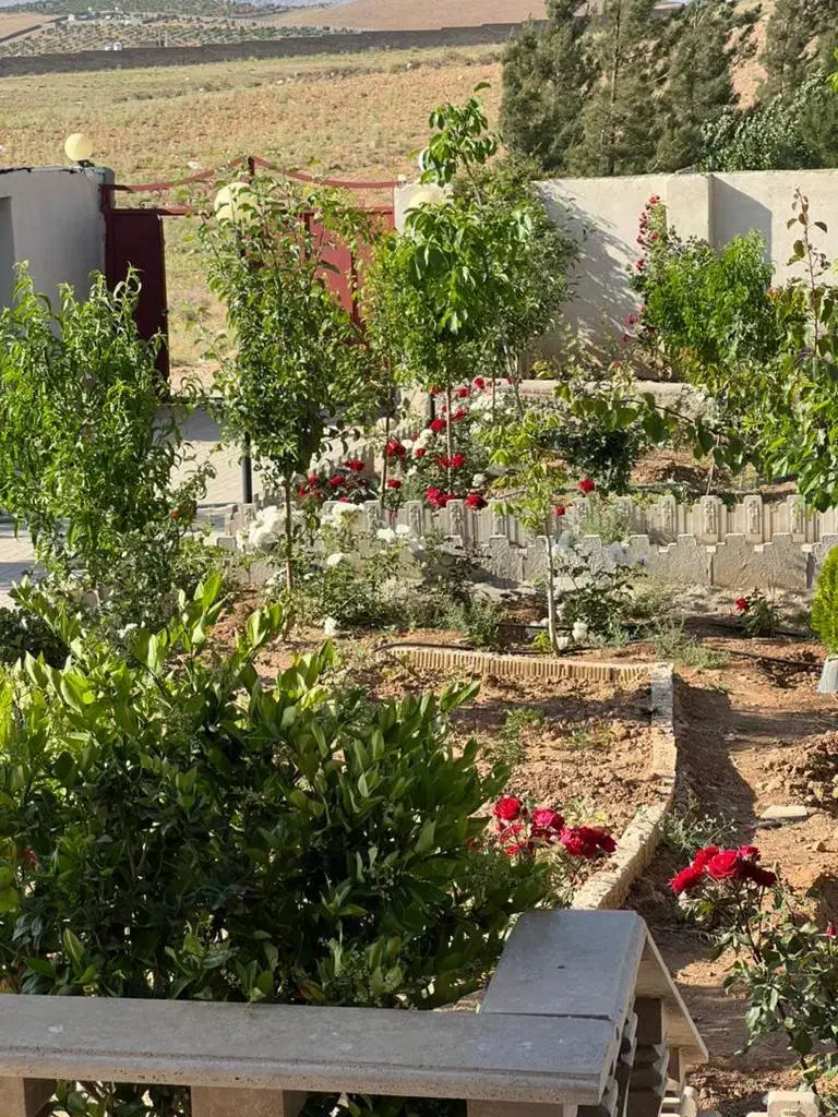 فروش زمین هزارمتری کودیان