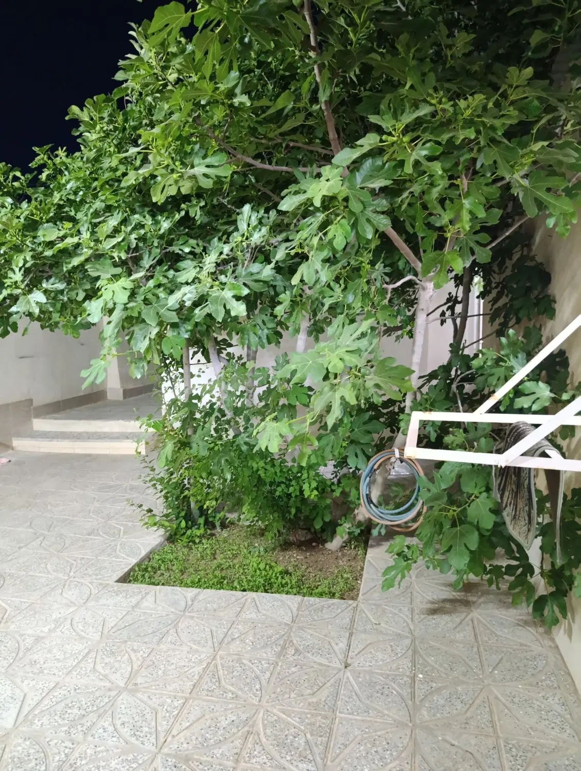 منزل اجاره ای کوتاه مدت