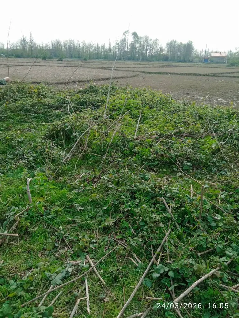 زمین مسکونی