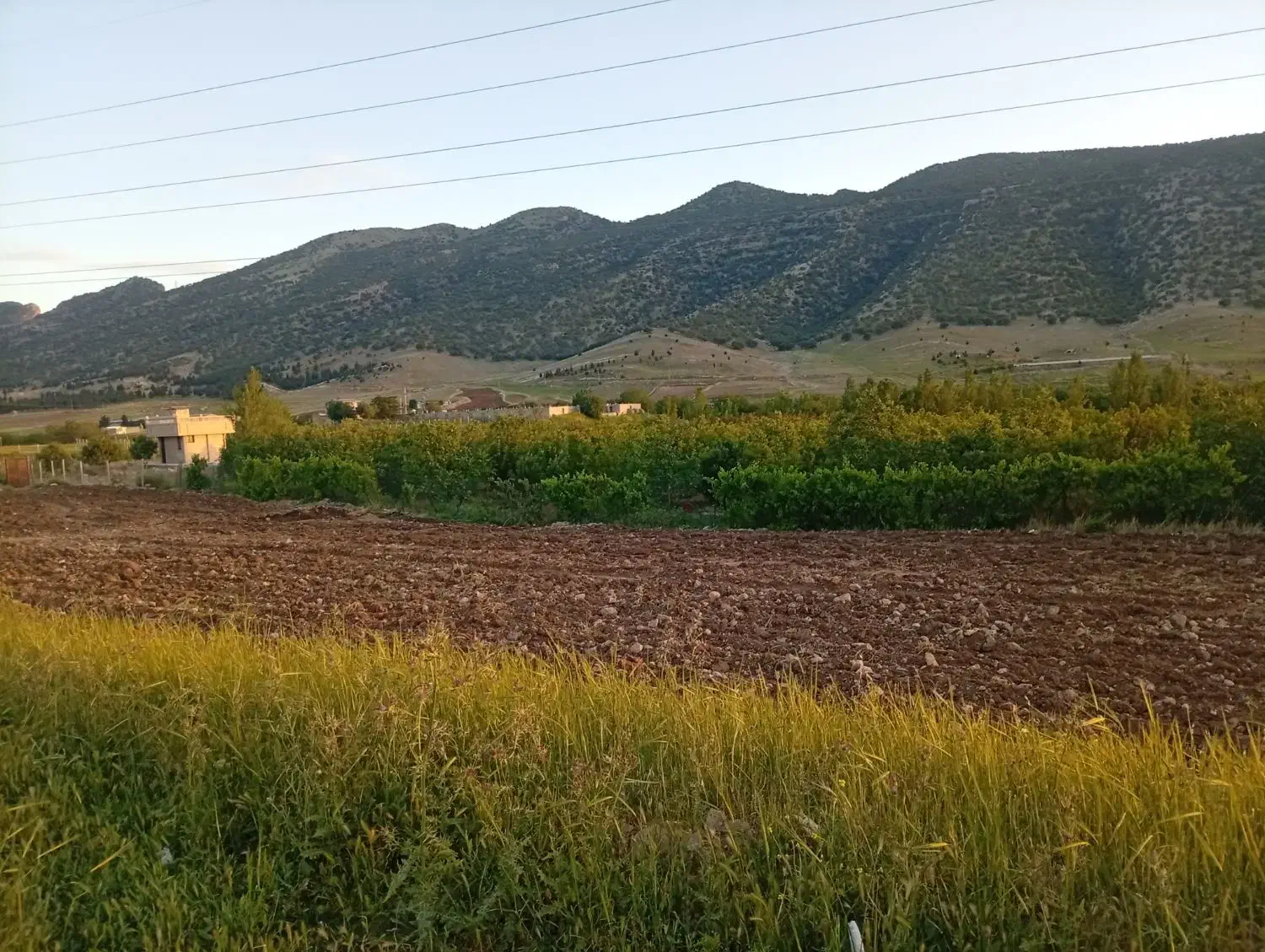 فروش باغ
