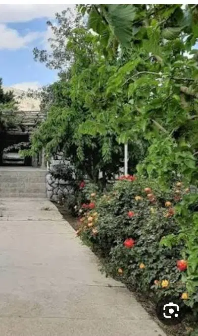 زمین