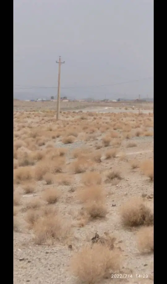زمین چشمه زیارت لب جاده تجاری مسکونی