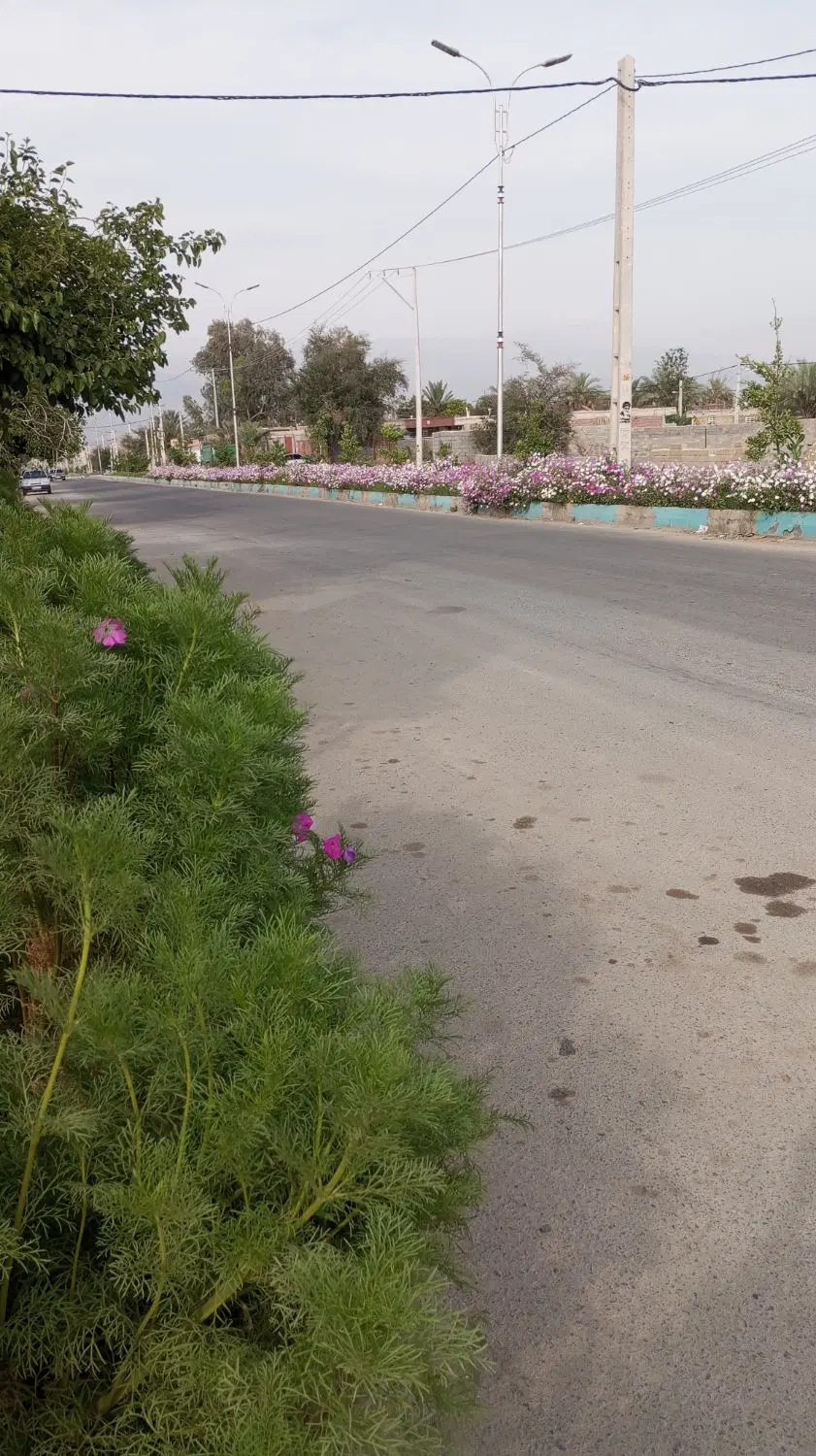 باسلام فروش زمین مسکونی
