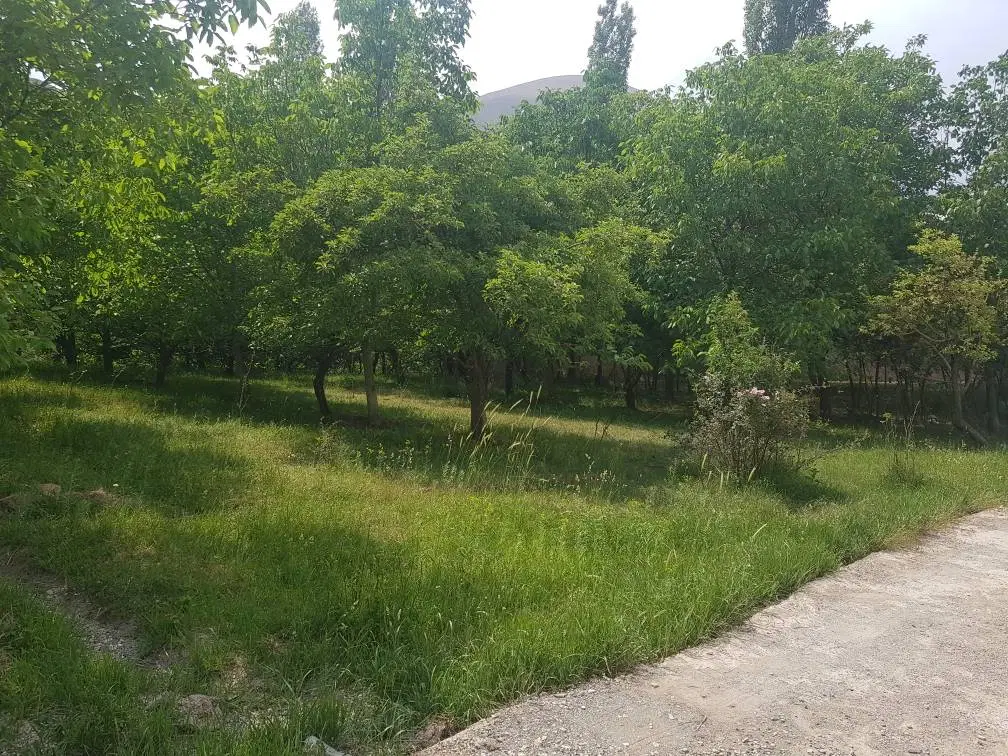 ۸۸۳متر باغ در لواسان بزرگ سند تک برگ