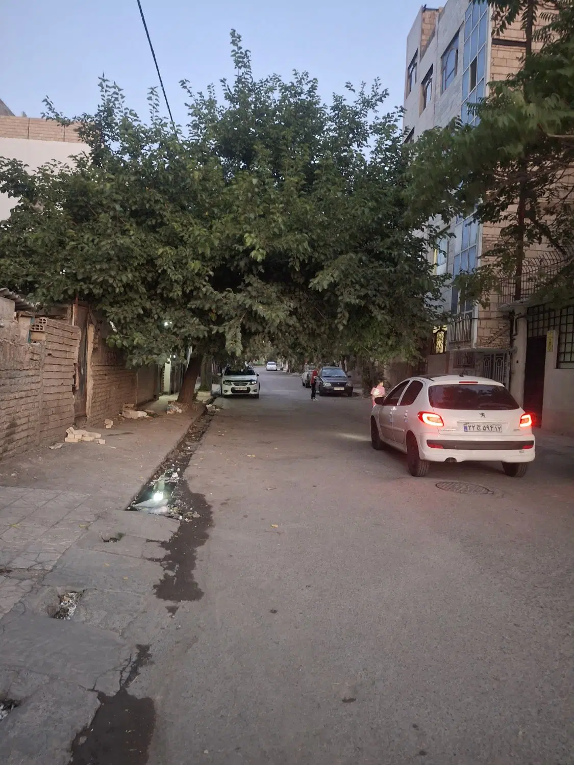 90متری طبقه منفی یک در نخل1