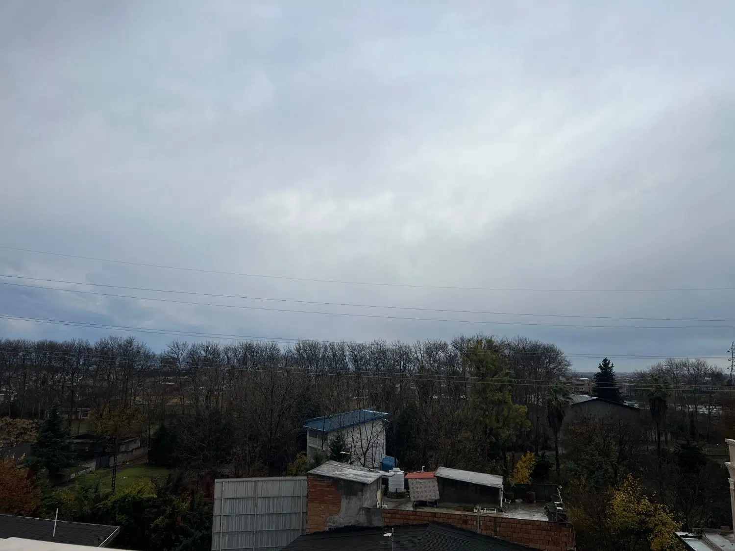 پنت در پاسداران