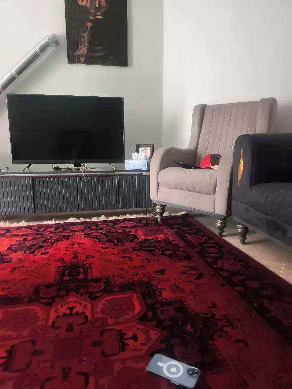 همخانه خانم