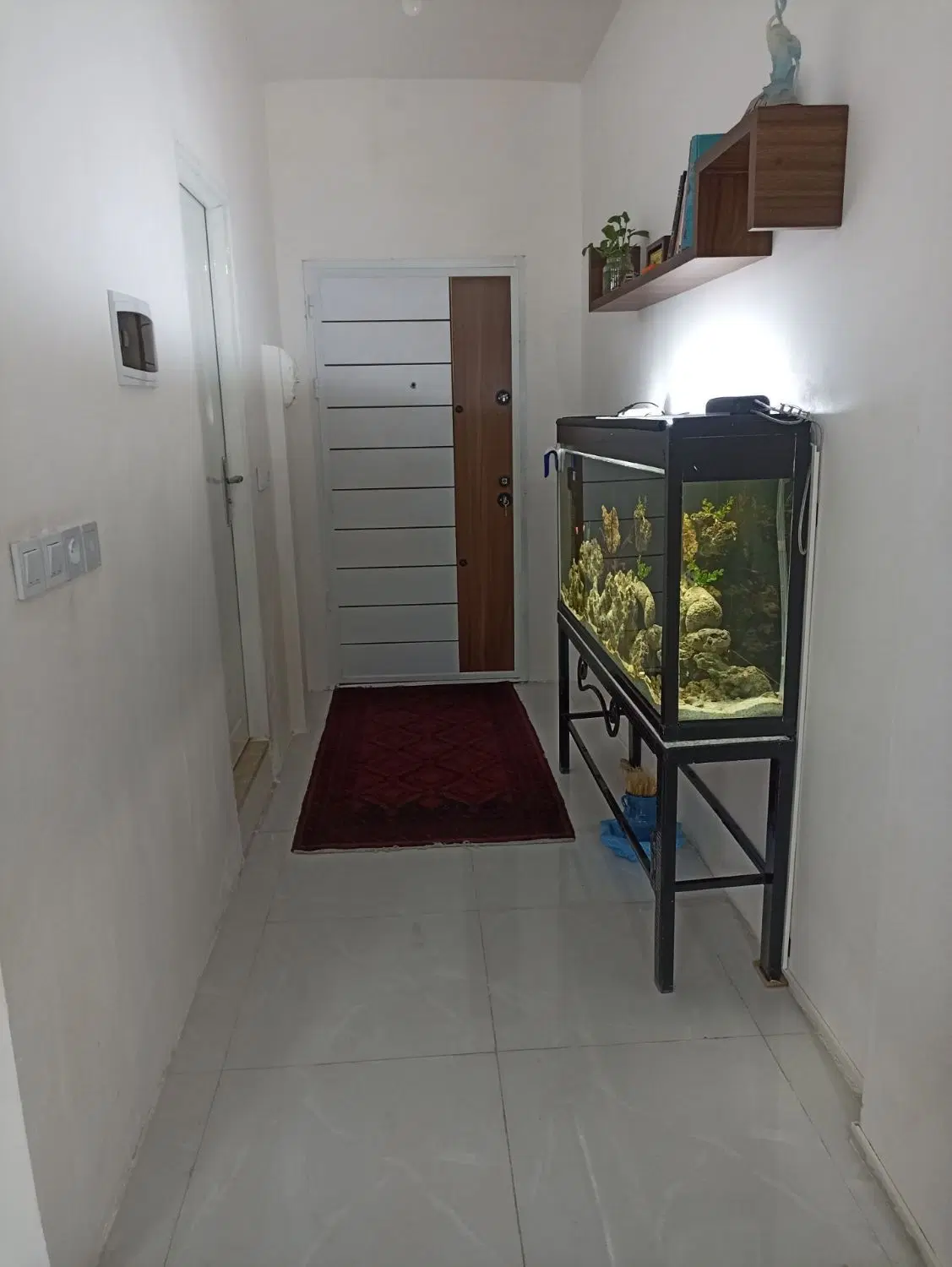واحد تکمیل شکری ۱۳