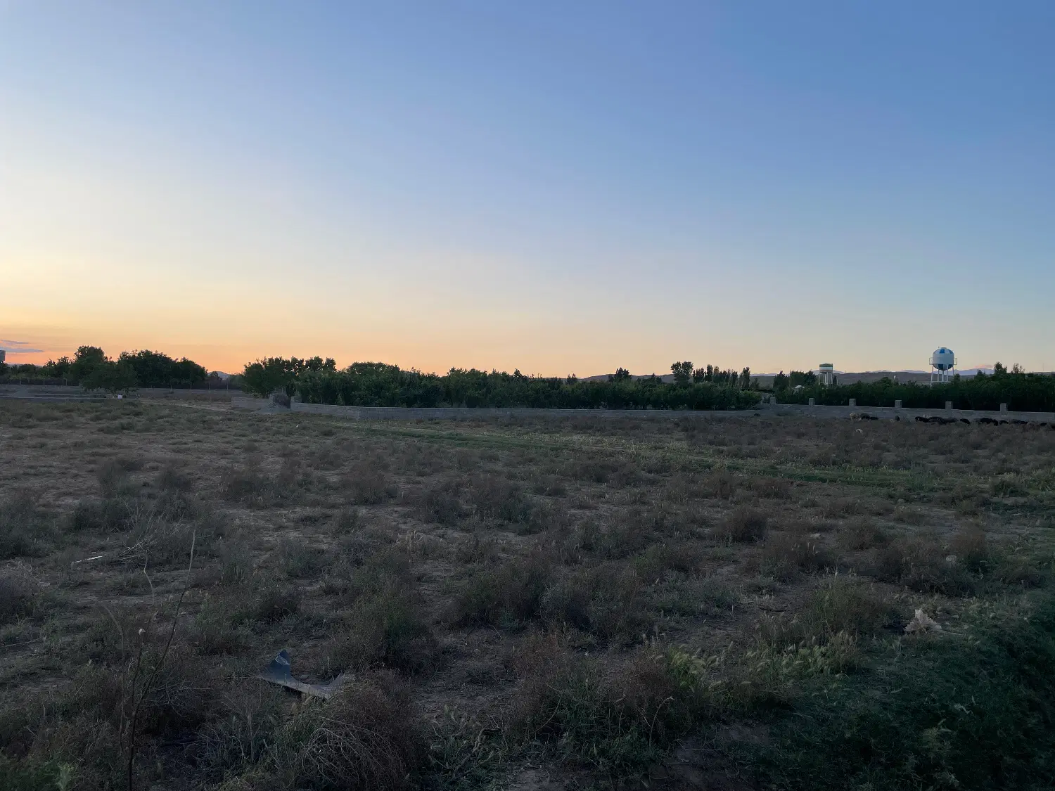 زمین باغی در پیشک ۲