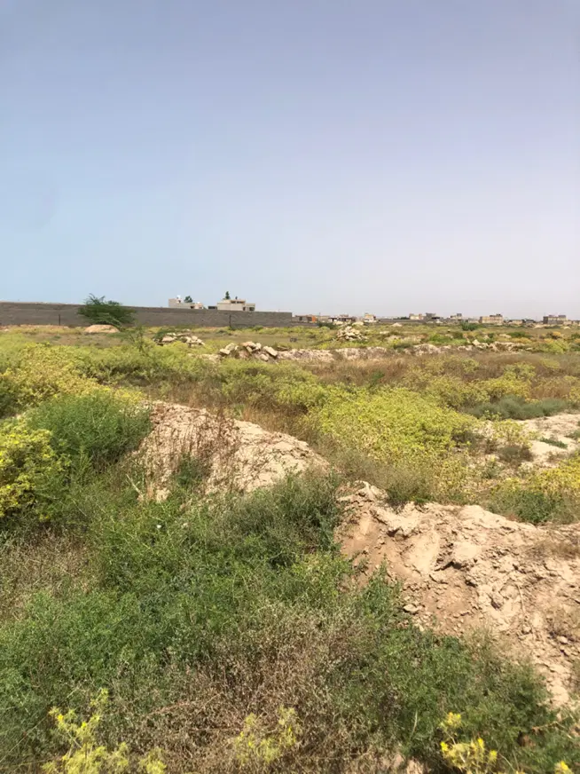 زمین  انبار حاج ندوم .اخر کوچه سنگ فروشی خادمی