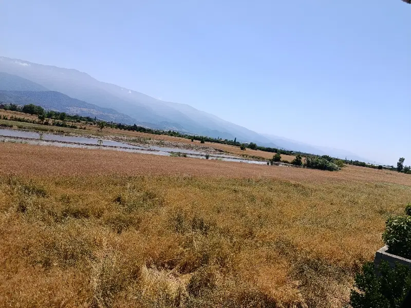 زمین باغی