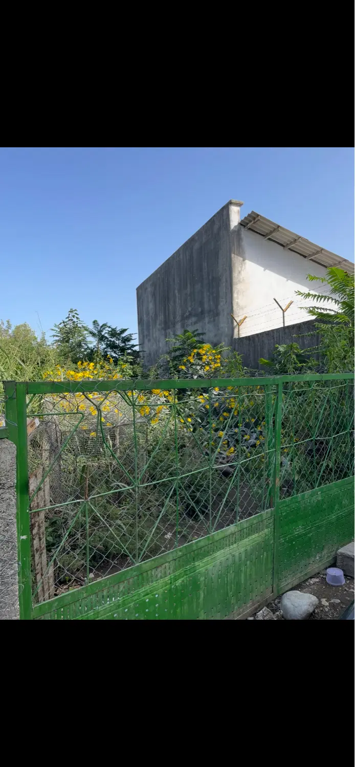 زمین مسکونی ویلایی