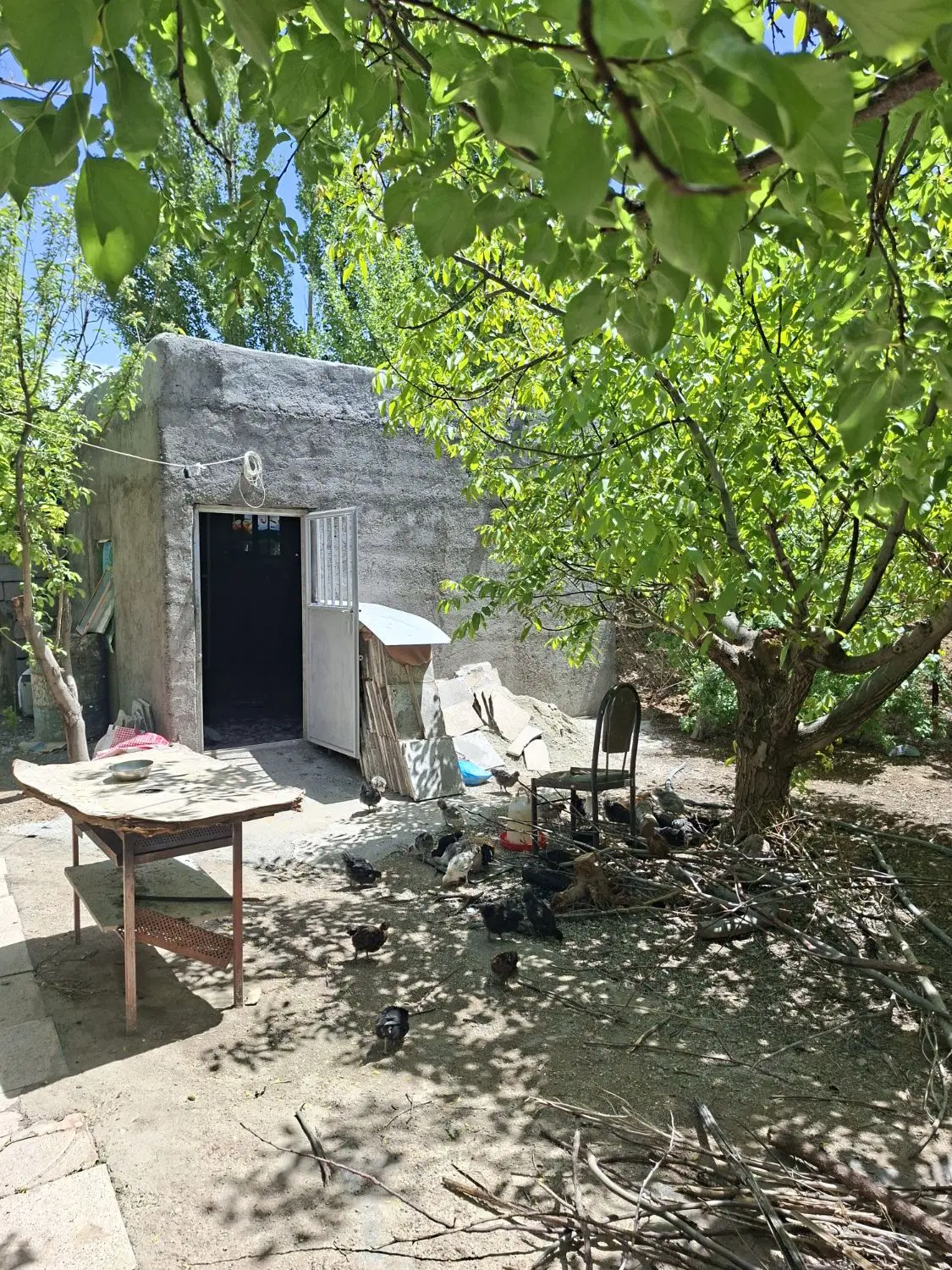 باغ ۱۲ کیلومتری زنجان