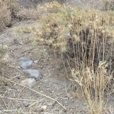 زمین شاطراباد