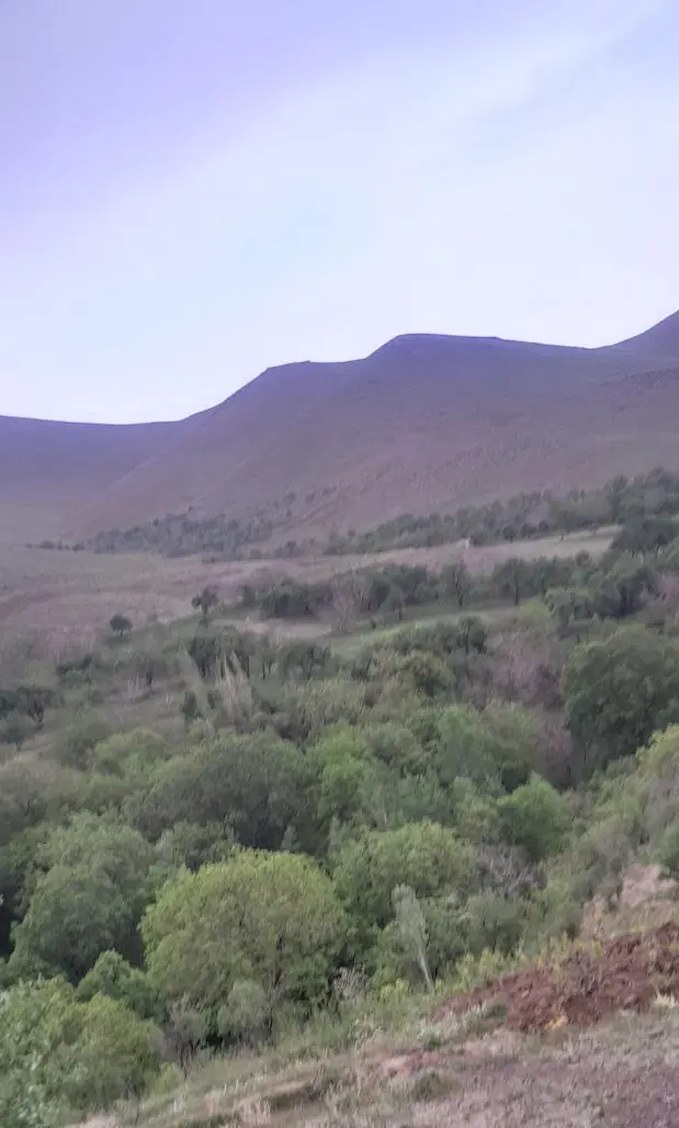 زمین فروشی روستای رازین