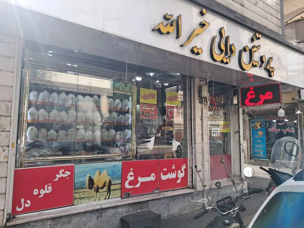 آگهی اجاره مرغ