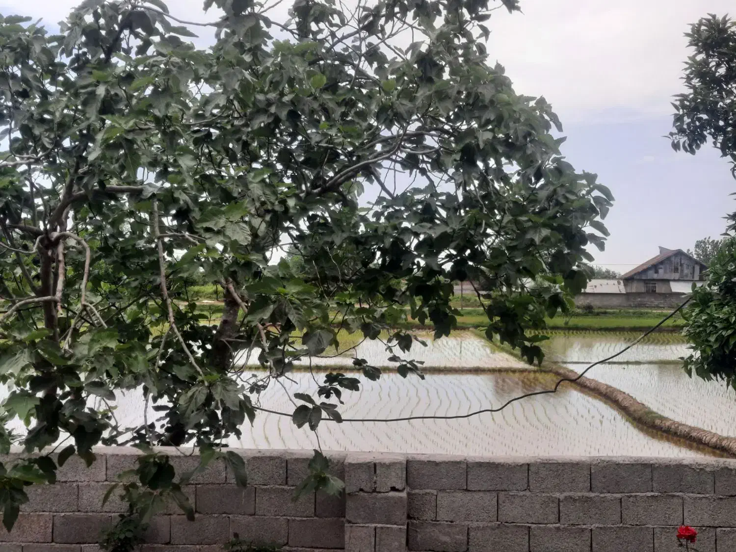 فروش خانه ویلایی