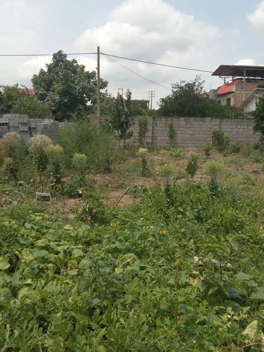 فروش زمین مسکونی