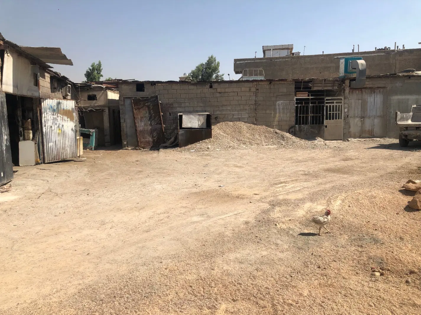 مجتمع کارگاهی
