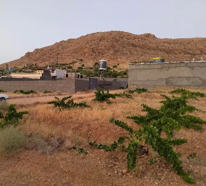باغشهری کلستان (کلسون)