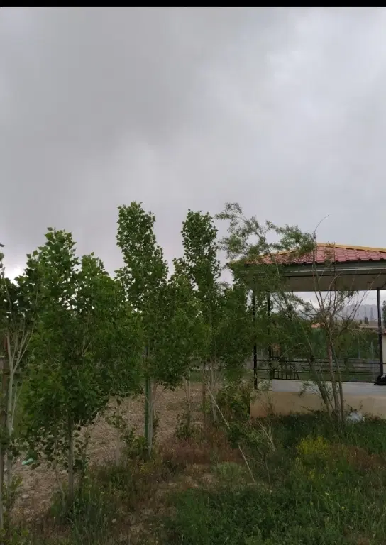 کلفور .باغ
