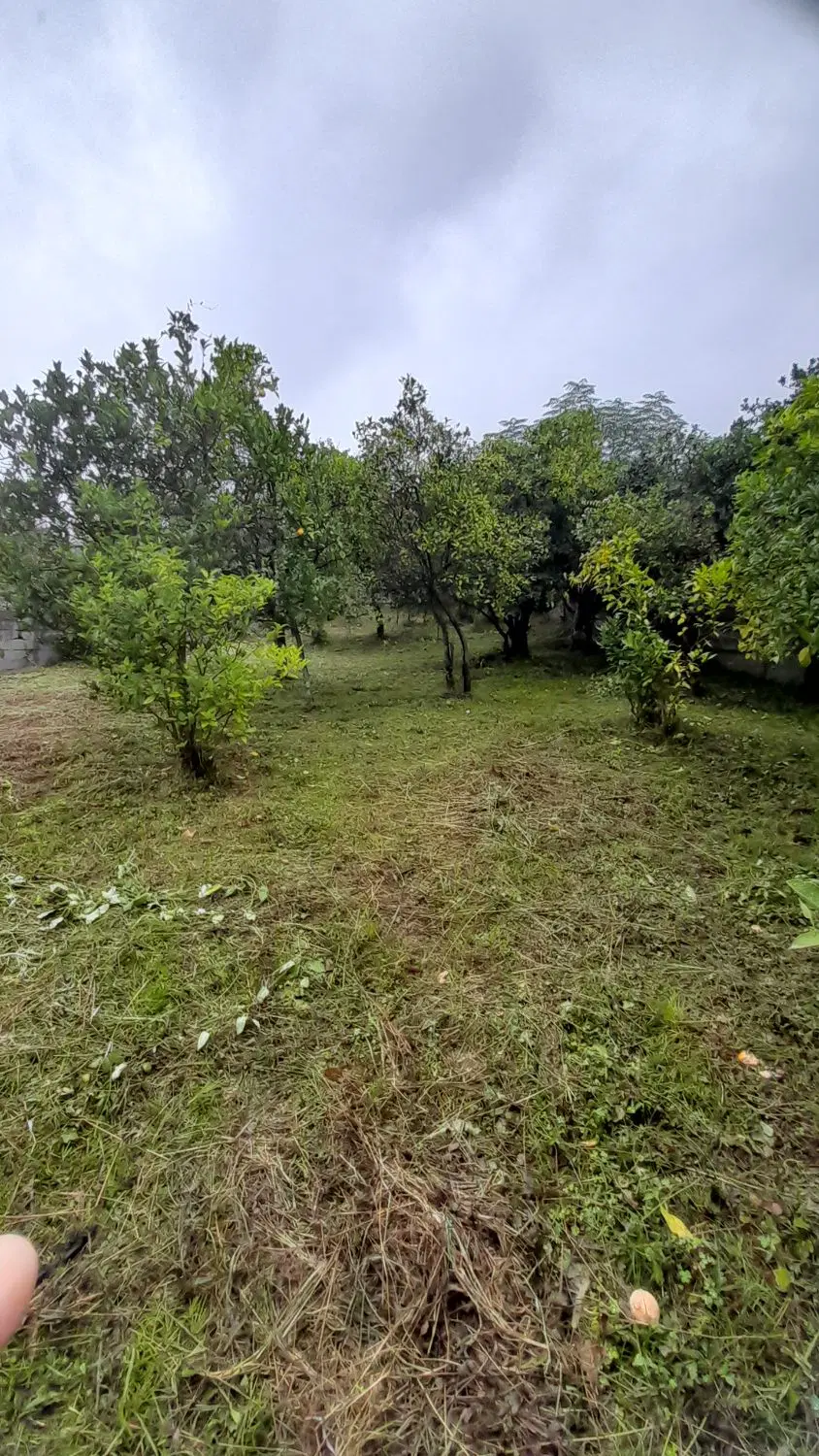 ۱۰۰۰ متر چابکسر