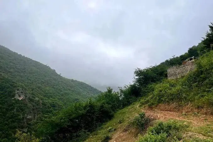 زمین زیارت