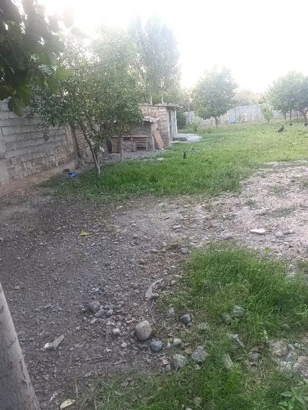 حیاط در روستای ایران اباد ۵۰۰متر به فروش میرسد