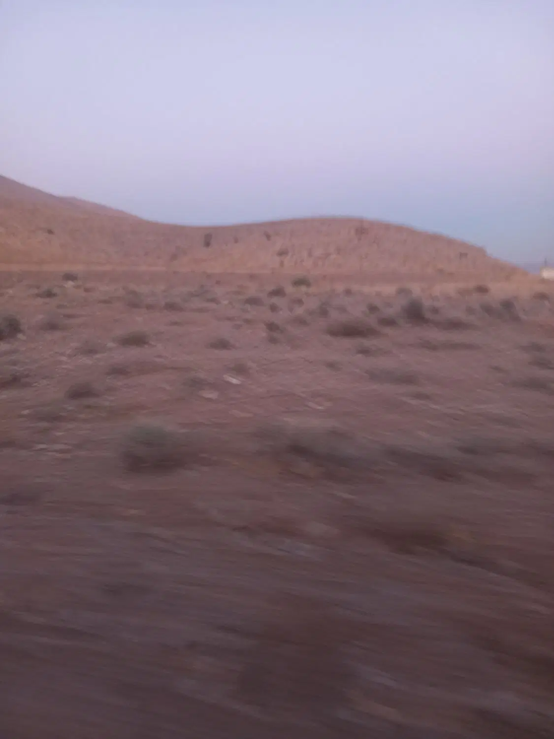 زمین مناسب باغ