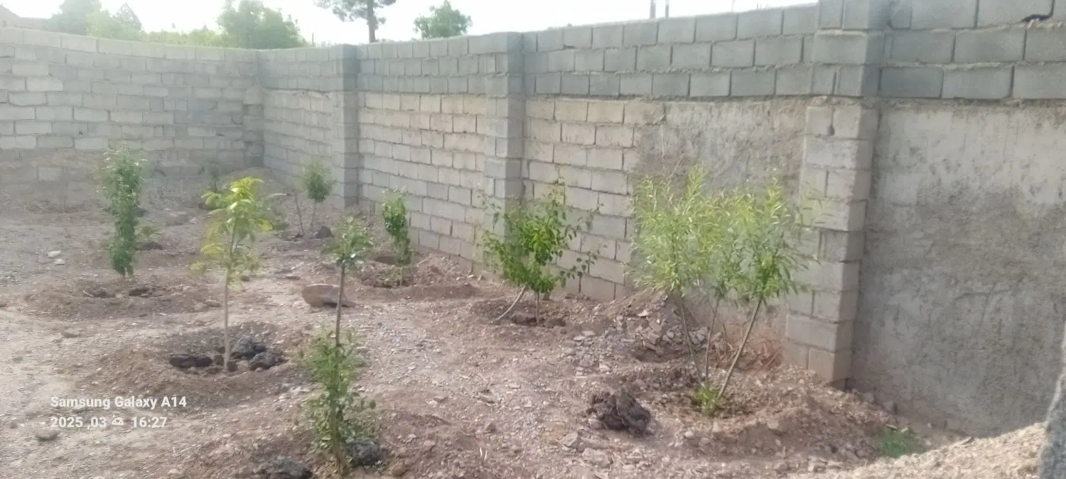 باغچه امیریه