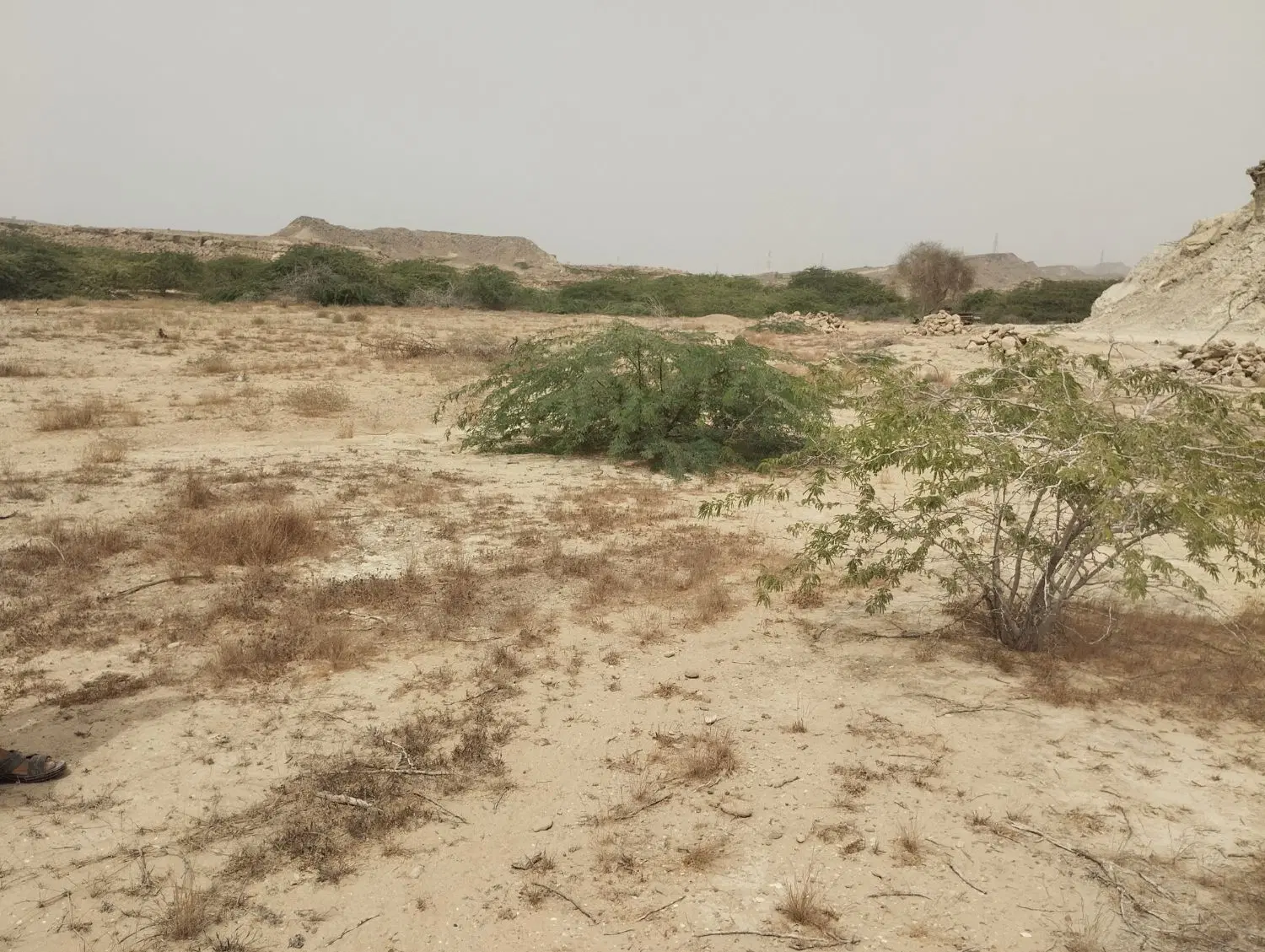 زمین فروشی در چابهار