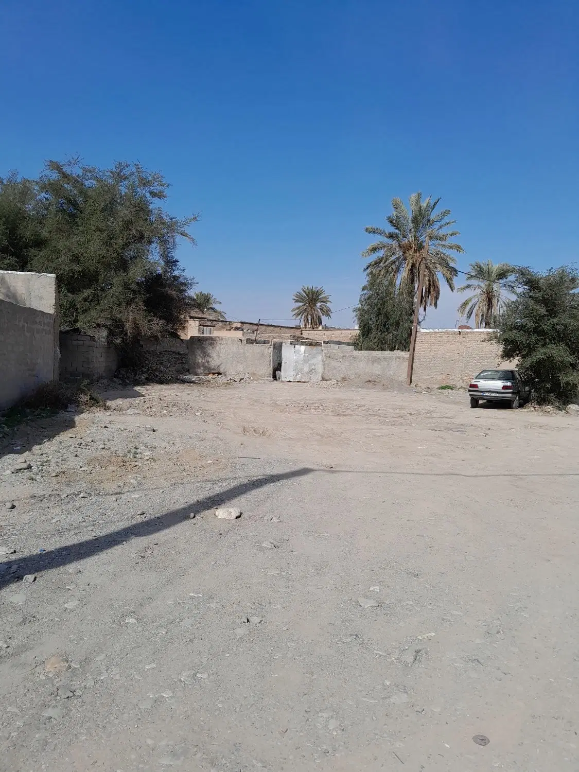 زمین