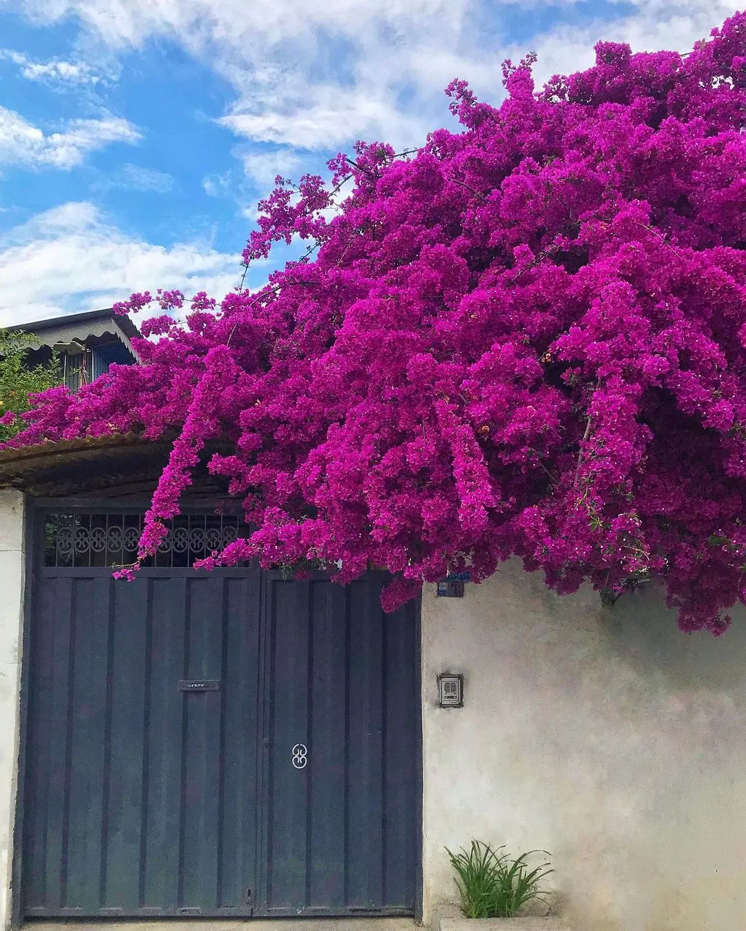 مشارکت در ساخت