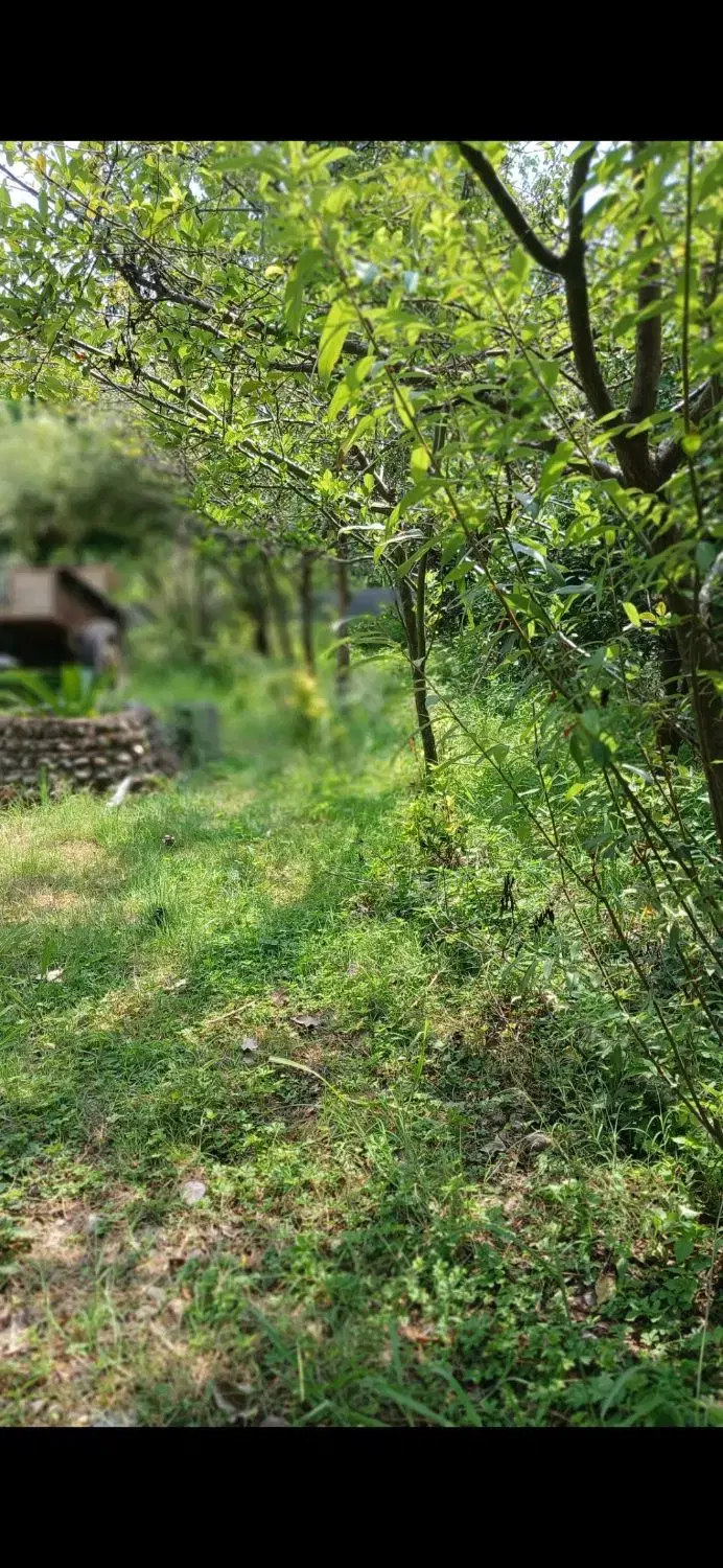 زمین مسکونی