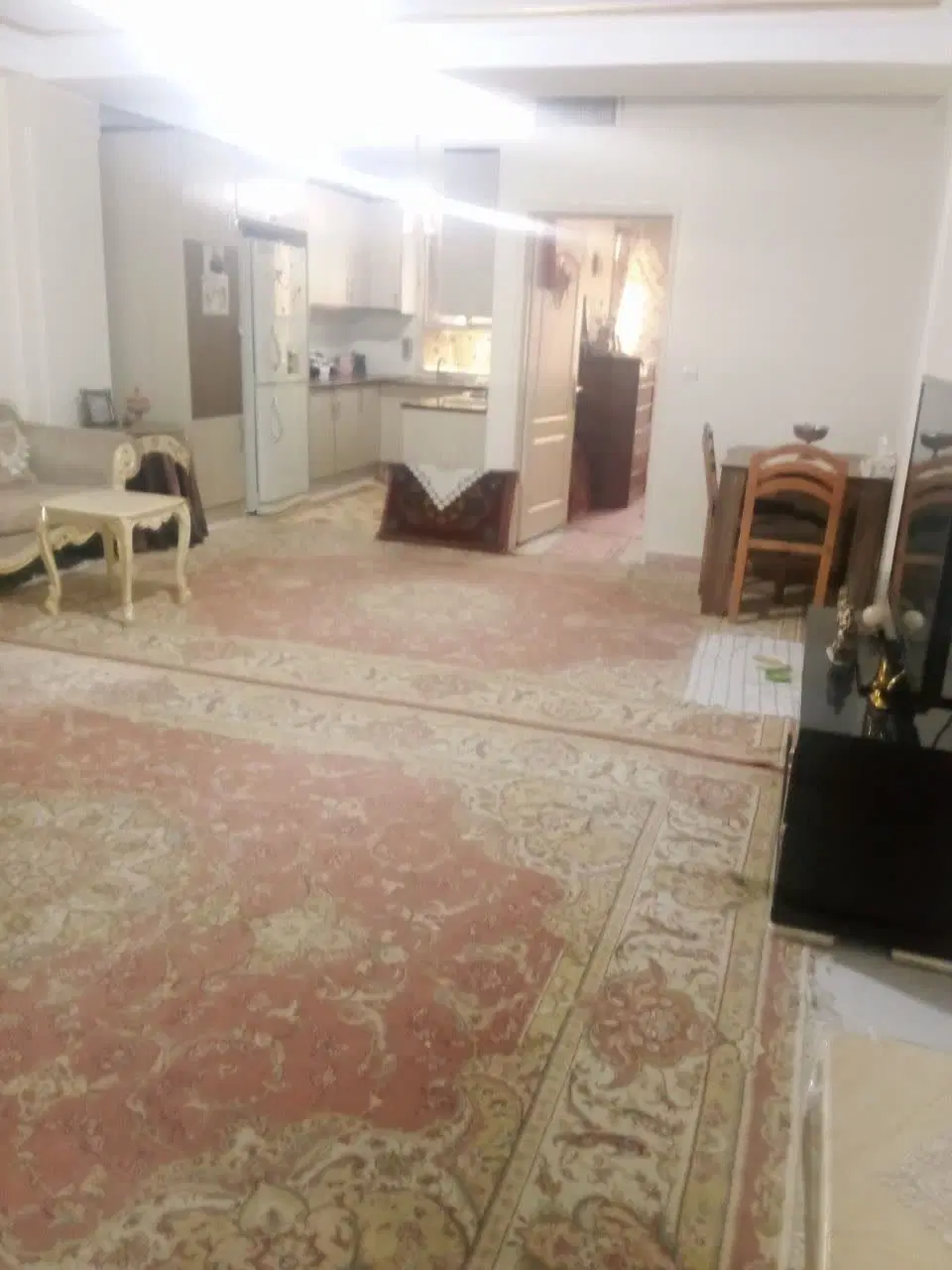 مجتمع صدف