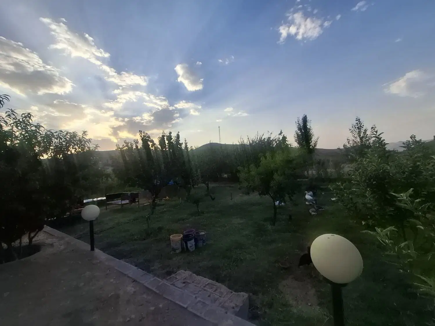 باغ در نقطه بندی