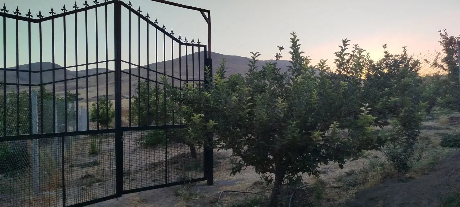 خانه باغی