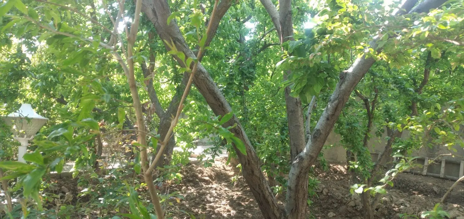 باغ ویلا ۷۳۰متری ۱۲۰متربنا دوبلکس نامه ج سندتک